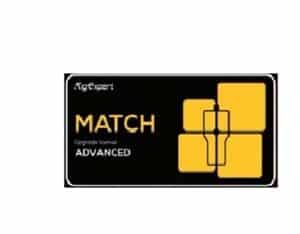 RIGEXPERT MATCH ANALYSER (ADVANCE) LICENSE 230 MHz